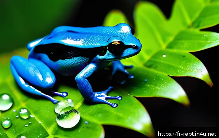 파충류와 양서류 관련 전자책 관련 이미지 2